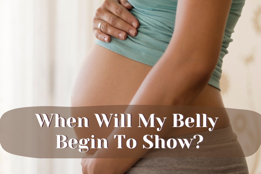 When will my belly begin to show