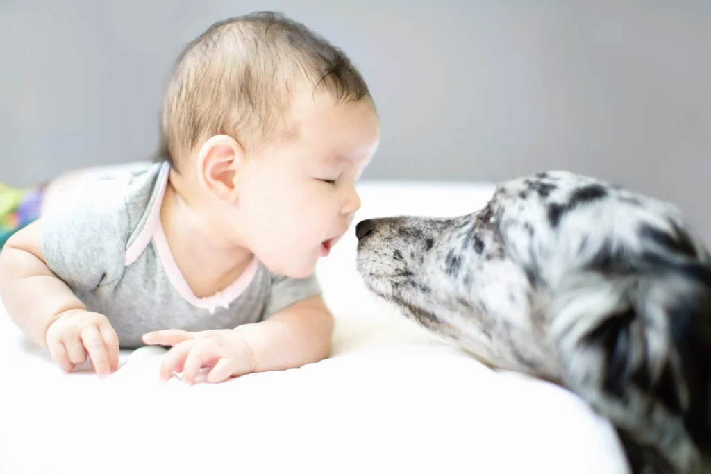 Caleb - the name related man's best friend, is popular with many parents