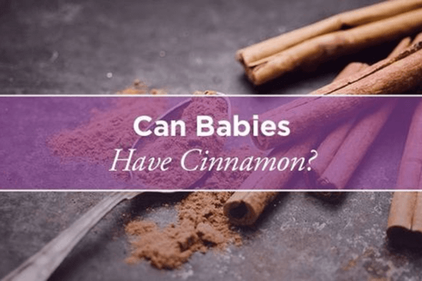 Can babies have Cinnamon?