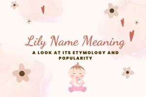 Lily Name Meaning A Look At Its Etymology And Popularity