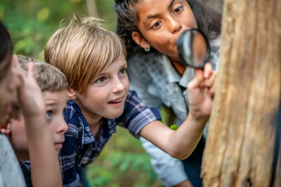 Science in the 1st Grade