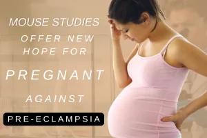 Mouse studies offer new hope for pregnant women against pre-eclampsia