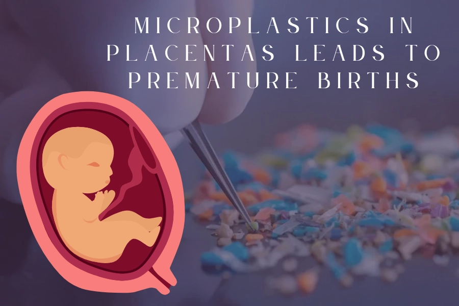 Microplastics in placentas leads to premature births