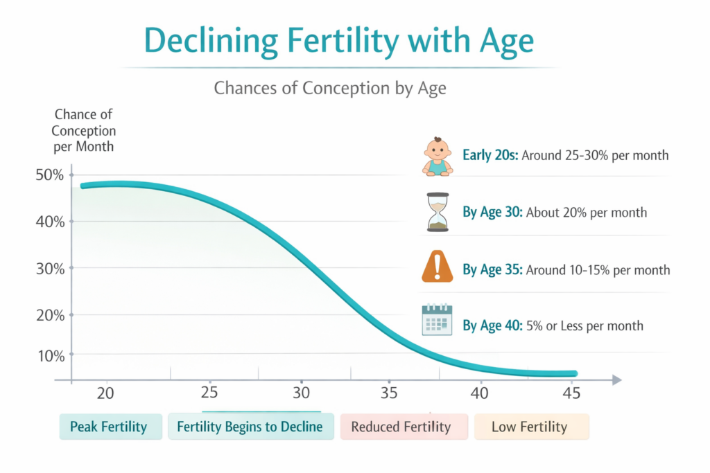 A clean fertility curve infographic showing conception probability declining by age - factual, non-alarming