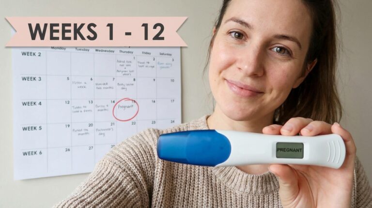 woman holding a positive pregnancy test with a calendar showing weeks 1 through 12 in the background